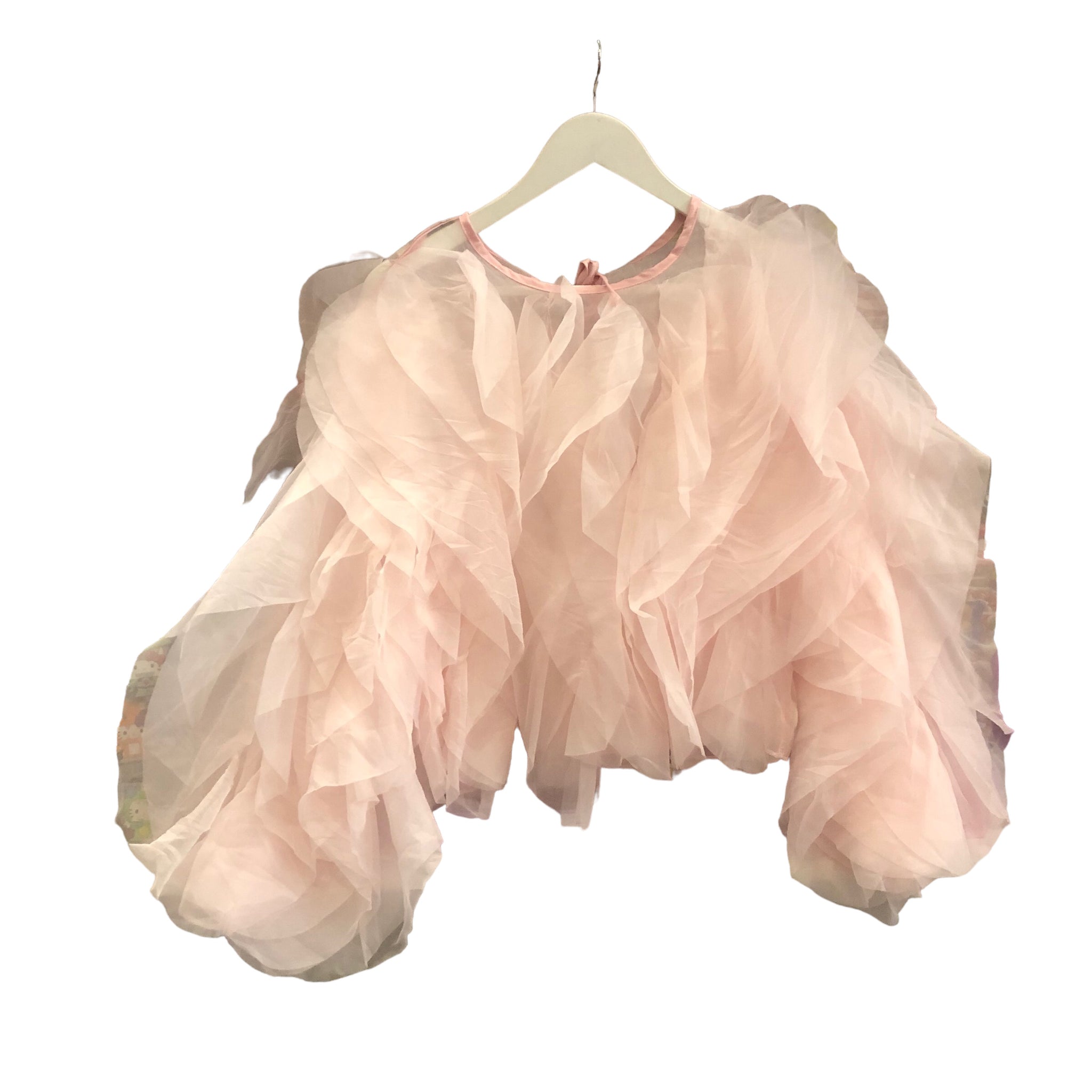 Festive Champagne Pink Crinoline Top