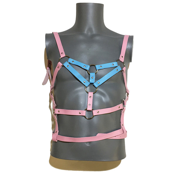 Pink and Blue Harness