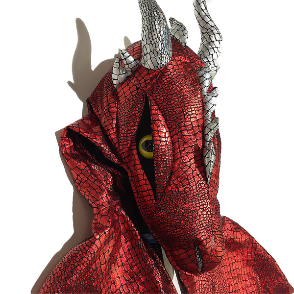 Red Dragon Poncho