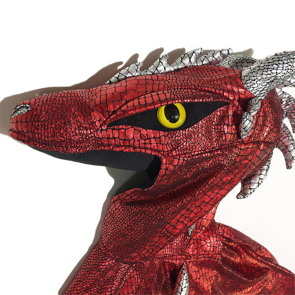 Red Dragon Poncho