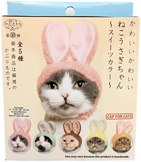 Bunny Cat Hat Blind Box