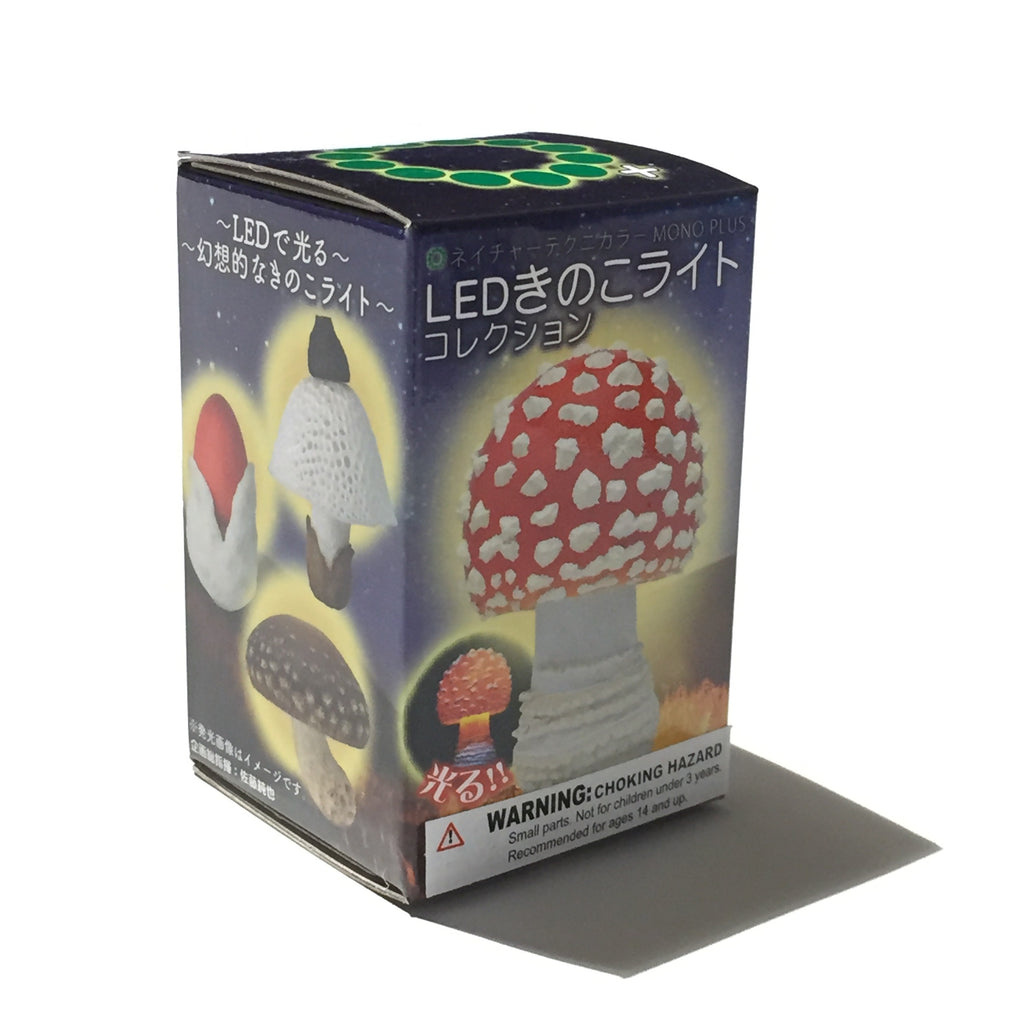 Blim Box Light up Mushroom Blind Box – Blim Vancouver