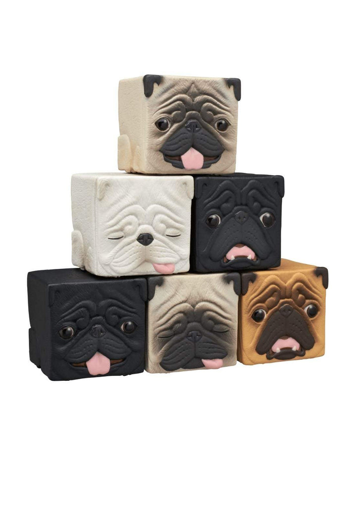 Blim Box Pug Cube Blind Box – Blim Vancouver
